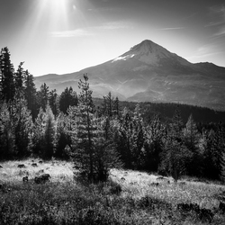 Landscape Portfolio