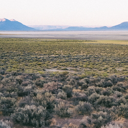Alvord Desert Folder